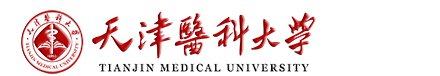 诺亚体育app官网
